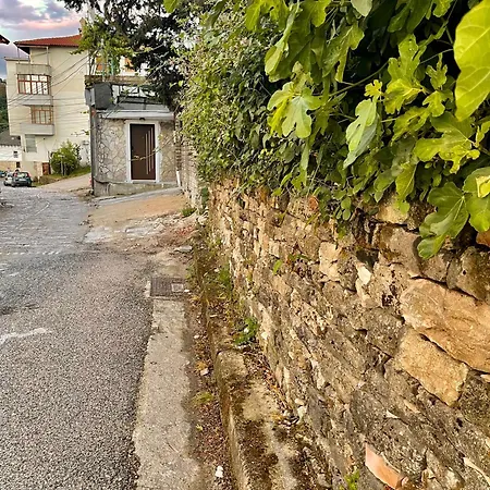 Zalbinger * Gjirokastër